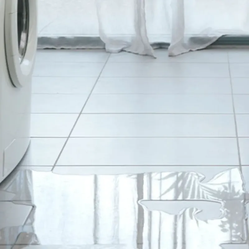 Appliance Leak Cleanup in Boise County, ID