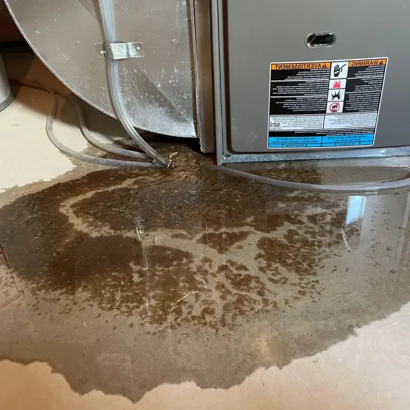 Pipe Burst and Leak Restoration in Boise County, ID